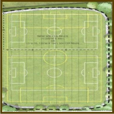 Field 1 Layout