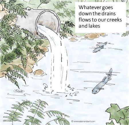 Storm Pipe_Creek Illustration